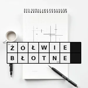 Rozwiązanie krzyżówki: żółwie słodkowodne emydidae rodzina gadów z podrzędu żółwi skrytoszyjnych obejmująca najwięcej gatunków spośród żyjących współcześnie żółwi - żółwie błotne | hasła, synonimy i podpowiedzi Hasło krzyżówkowe żółwie słodkowodne emydidae rodzina gadów z podrzędu żółwi skrytoszyjnych obejmująca najwięcej gatunków spośród żyjących współcześnie żółwi - żółwie błotne – rozwiązanie, synonimy, podpowiedzi i definicje krzyżówkowe